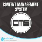 Content Management System